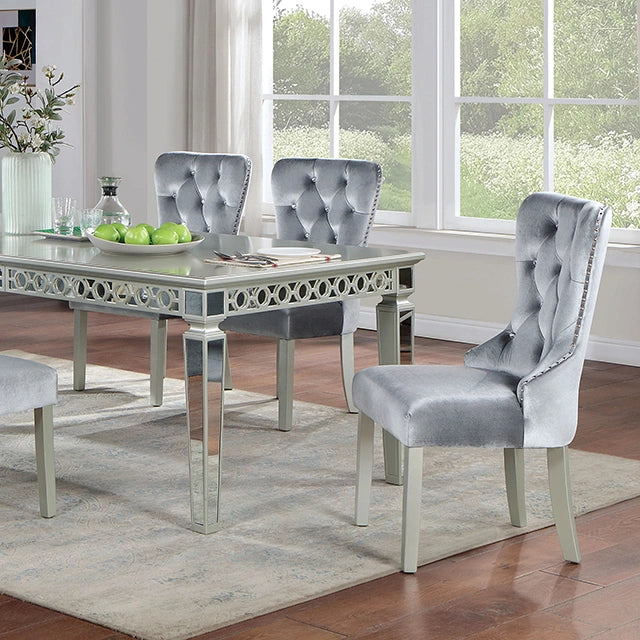 Silver/Dark Gray