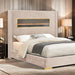 Danvers Bed - Marjories Furniture (Las Vegas, NV)