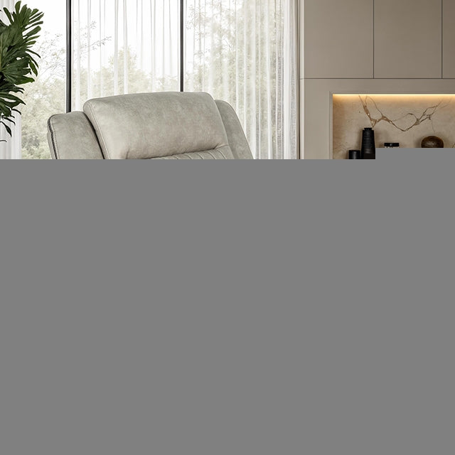 Arturus Power Recliner